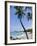 Kona State Beach, Island of Hawaii (Big Island), Hawaii, USA-Ethel Davies-Framed Photographic Print