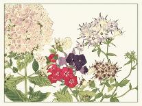 Small Japanese Flower Garden I-Konan Tanigami-Mounted Art Print