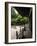 Kongobuji, Mt. Koya Monastery, Koya San, Japan-Demetrio Carrasco-Framed Photographic Print