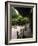 Kongobuji, Mt. Koya Monastery, Koya San, Japan-Demetrio Carrasco-Framed Photographic Print