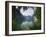 Konigssee, Berchtesgaden National Park, Bavaria, Germany-Gary Cook-Framed Photographic Print