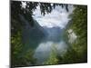 Konigssee, Berchtesgaden National Park, Bavaria, Germany-Gary Cook-Mounted Photographic Print