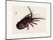 Premium Giclee Print