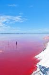 Pink Lake, Western Australia. this Lake Turns Pink in Summer Cause of an Algae with Red Pigments. T-Konrad Mostert-Framed Photographic Print