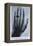 Konrad Roentgen's X-Ray of the Hand of Showing Bones and the Ring, 1895-null-Framed Stretched Canvas