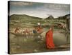Stretched Canvas Print