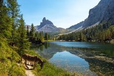 View over Lake Seebensee, Alps, Tirol, Austria-Konrad Wothe-Photographic Print