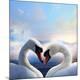 Premium Photographic Print