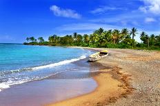 Jamaica. A National Boat on Sandy Coast of a Bay-Konstik-Mounted Photographic Print