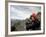 Kook Kook is from Altai Sum, Golden Eagle Festival, Mongolia-Amos Nachoum-Framed Photographic Print