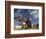 Kook Kook is from Altai Sum, Golden Eagle Festival, Mongolia-Amos Nachoum-Framed Photographic Print