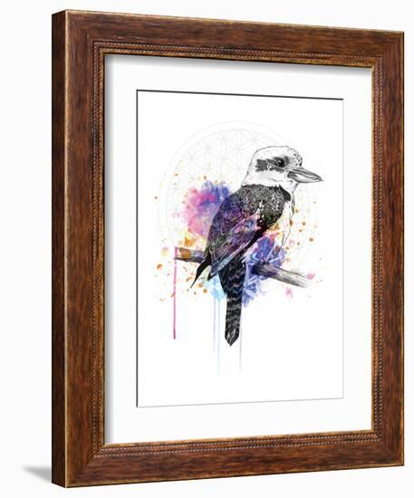 Kookaburra-Karin Roberts-Framed Art Print