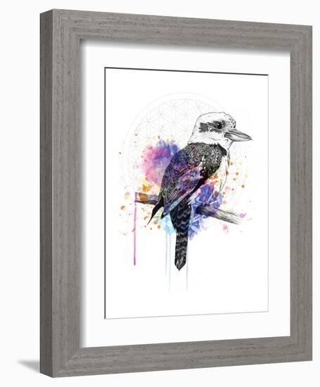 Kookaburra-Karin Roberts-Framed Art Print