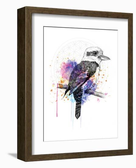 Kookaburra-Karin Roberts-Framed Art Print