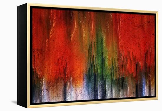 Kootenay Fall 2017-Ursula Abresch-Framed Premier Image Canvas