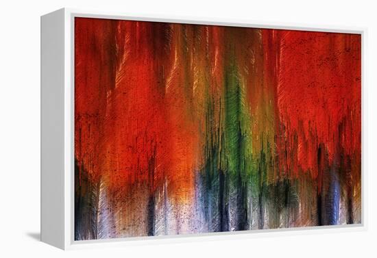 Kootenay Fall 2017-Ursula Abresch-Framed Premier Image Canvas