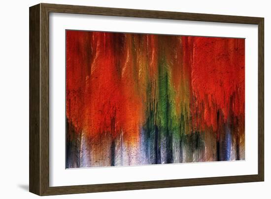 Kootenay Fall 2017-Ursula Abresch-Framed Photographic Print