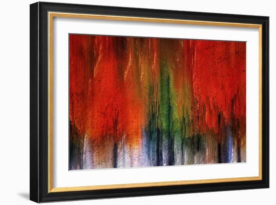 Kootenay Fall 2017-Ursula Abresch-Framed Photographic Print