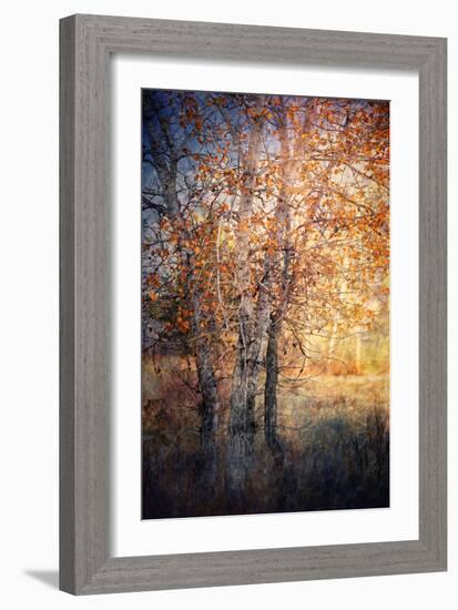 Kootenay Fall 2-Ursula Abresch-Framed Photographic Print