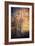 Kootenay Fall 2-Ursula Abresch-Framed Photographic Print