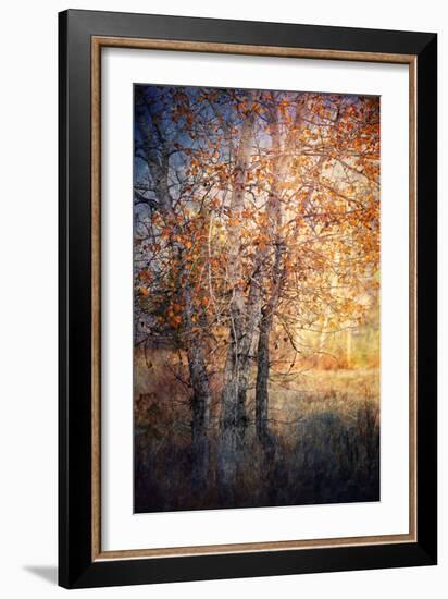 Kootenay Fall 2-Ursula Abresch-Framed Photographic Print