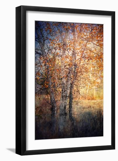 Kootenay Fall 2-Ursula Abresch-Framed Photographic Print