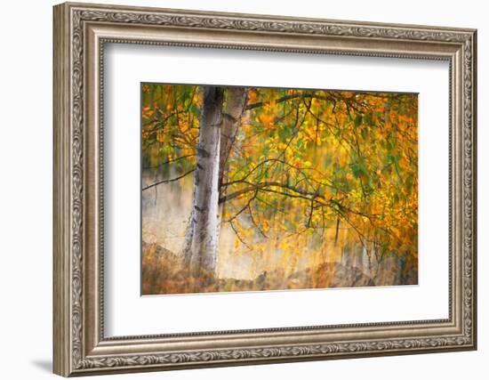 Kootenay Fall 2-Ursula Abresch-Framed Photographic Print