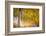 Kootenay Fall 2-Ursula Abresch-Framed Photographic Print