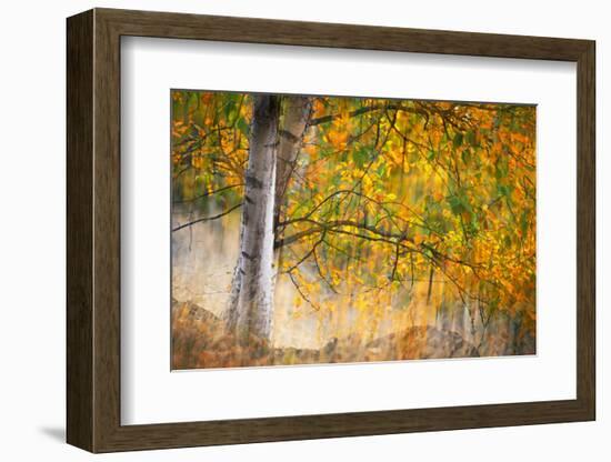 Kootenay Fall 2-Ursula Abresch-Framed Photographic Print