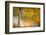 Kootenay Fall 2-Ursula Abresch-Framed Photographic Print