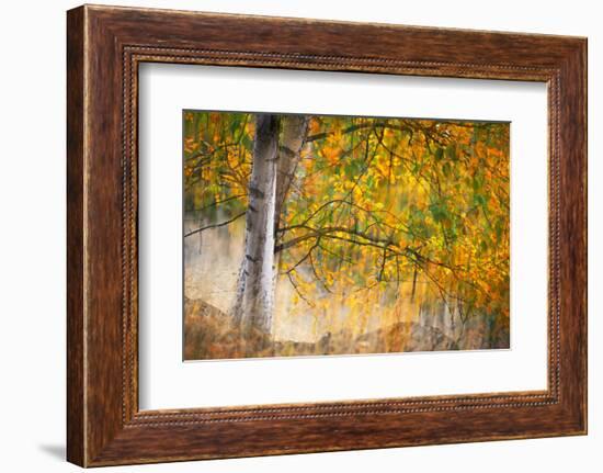 Kootenay Fall 2-Ursula Abresch-Framed Photographic Print