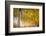 Kootenay Fall 2-Ursula Abresch-Framed Photographic Print