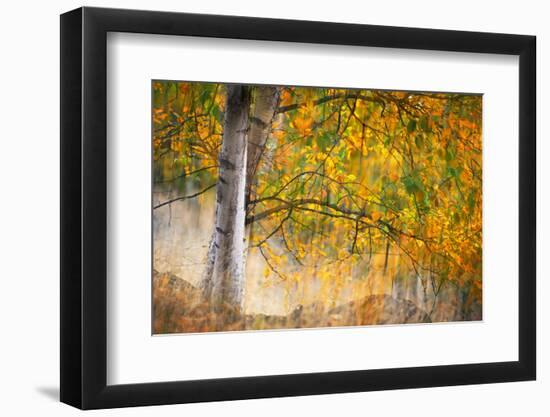 Kootenay Fall 2-Ursula Abresch-Framed Photographic Print