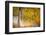 Kootenay Fall 2-Ursula Abresch-Framed Photographic Print