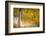 Kootenay Fall 2-Ursula Abresch-Framed Photographic Print