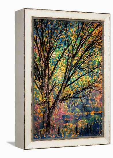 Kootenay Fall 3-Ursula Abresch-Framed Premier Image Canvas