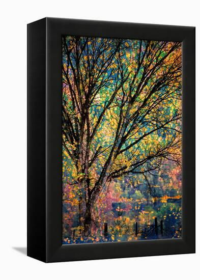 Kootenay Fall 3-Ursula Abresch-Framed Premier Image Canvas