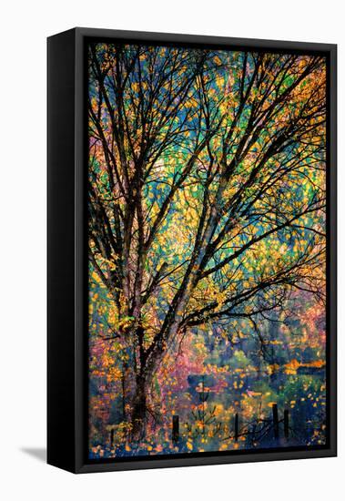 Kootenay Fall 3-Ursula Abresch-Framed Premier Image Canvas