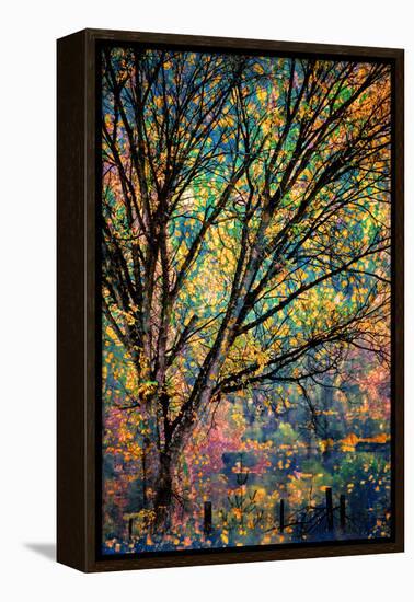 Kootenay Fall 3-Ursula Abresch-Framed Premier Image Canvas