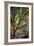 Kootenay Fall 3-Ursula Abresch-Framed Premium Photographic Print