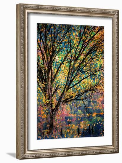 Kootenay Fall 3-Ursula Abresch-Framed Premium Photographic Print