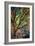 Kootenay Fall 3-Ursula Abresch-Framed Premium Photographic Print