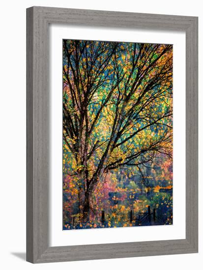 Kootenay Fall 3-Ursula Abresch-Framed Premium Photographic Print