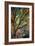 Kootenay Fall 3-Ursula Abresch-Framed Premium Photographic Print