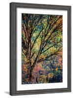 Kootenay Fall 3-Ursula Abresch-Framed Photographic Print