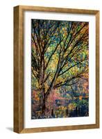 Kootenay Fall 3-Ursula Abresch-Framed Photographic Print