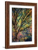 Kootenay Fall 3-Ursula Abresch-Framed Photographic Print