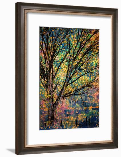 Kootenay Fall 3-Ursula Abresch-Framed Photographic Print