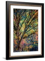Kootenay Fall 3-Ursula Abresch-Framed Photographic Print