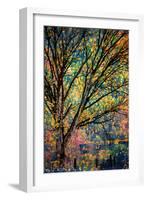 Kootenay Fall 3-Ursula Abresch-Framed Photographic Print